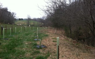 Amherst Streamside Tree Buffer Program